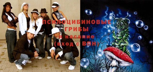 apvp Надым
