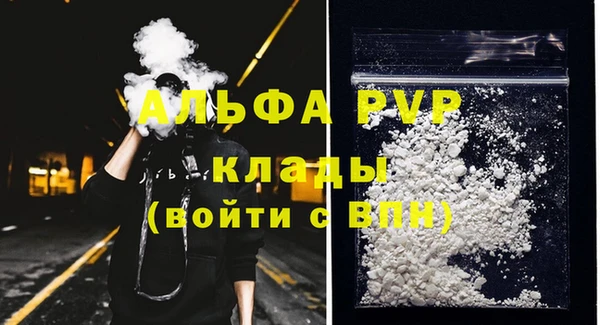 PSILOCYBIN Нефтегорск