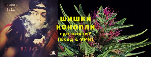 apvp Надым