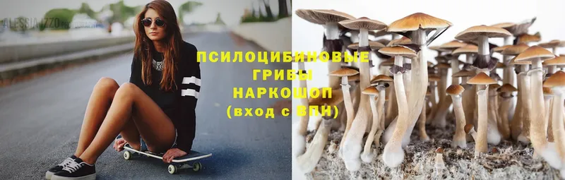 где можно купить   Красный Сулин  Галлюциногенные грибы MAGIC MUSHROOMS 