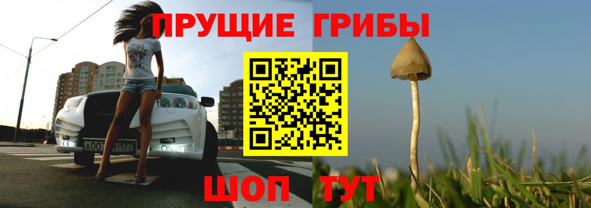 дарнет шоп  Псилоцибиновые грибы Cubensis  Вход с VPN  Красный Сулин  Псилоцибиновые грибы ЛСД 